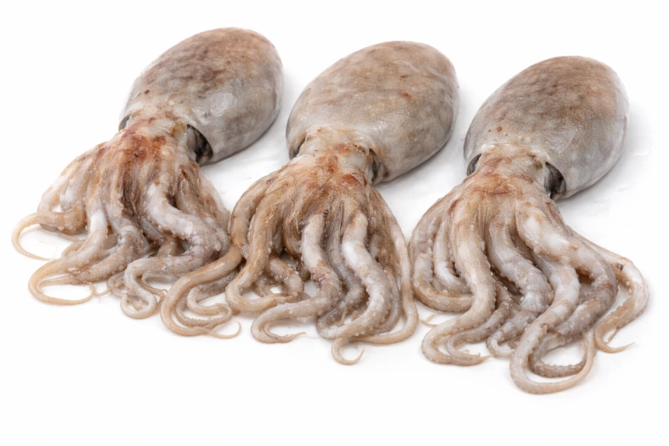 [130205010] Pulpo blanco, cabezon 200-400 g