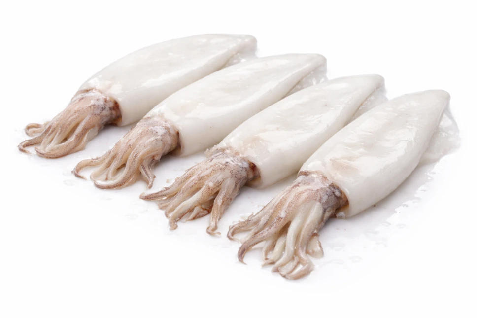 [120202010] Calmar indien entier propre 10/20