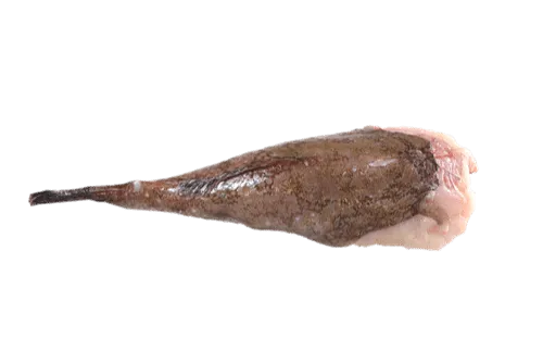 Cola de rape