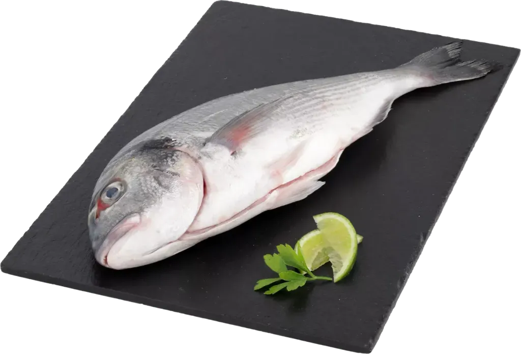 Dorada eviscerada