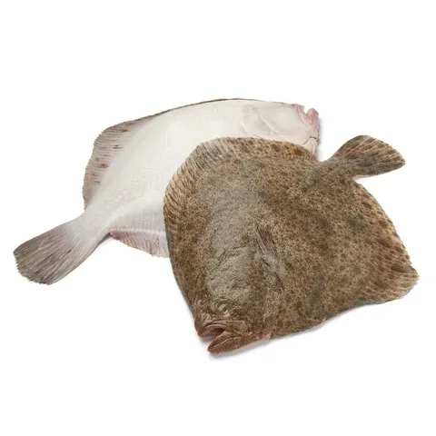 Rodaballo salvaje eviscerado
