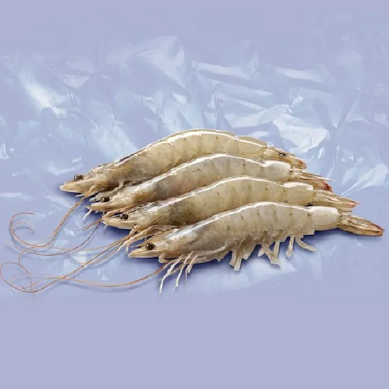 Langostino Vannamei Big Bay