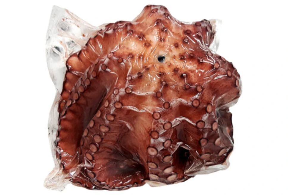 Pulpo entero cocido