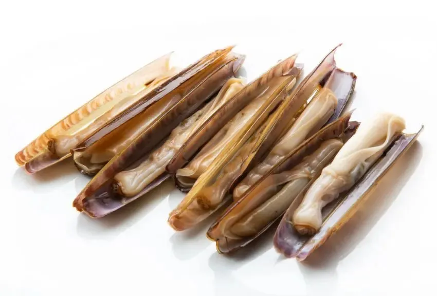 [150204000] Razor clam 10-12cm