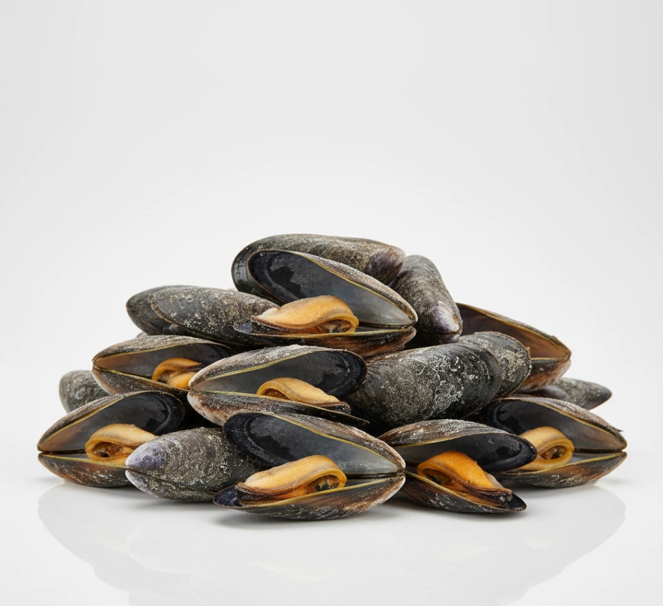 [160607000] Moules entières cuites 40/60